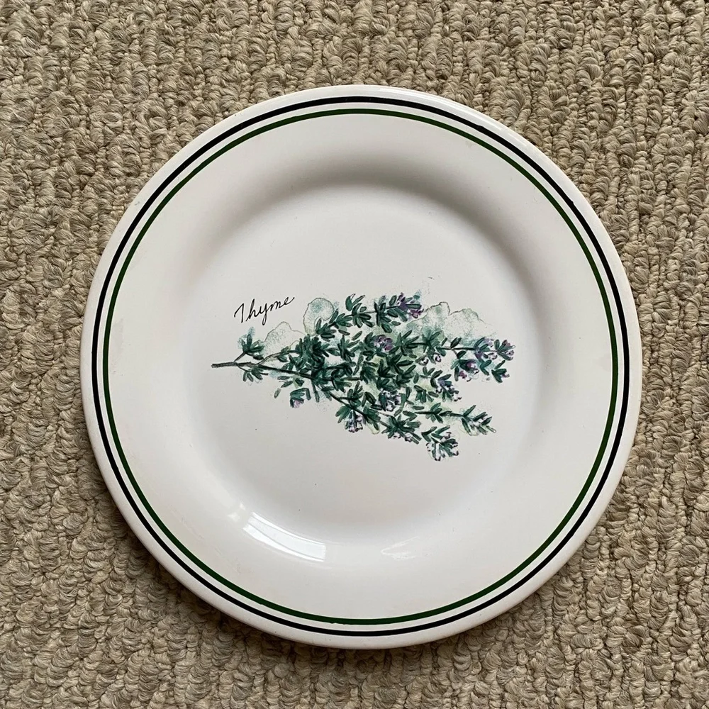 WILLIAMS- SONOMA VINTAGE SALAD PLATE HERBS MADE IN PORTUGAL THYME
